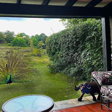 Malachite Manor Underberg Exteriér fotografie