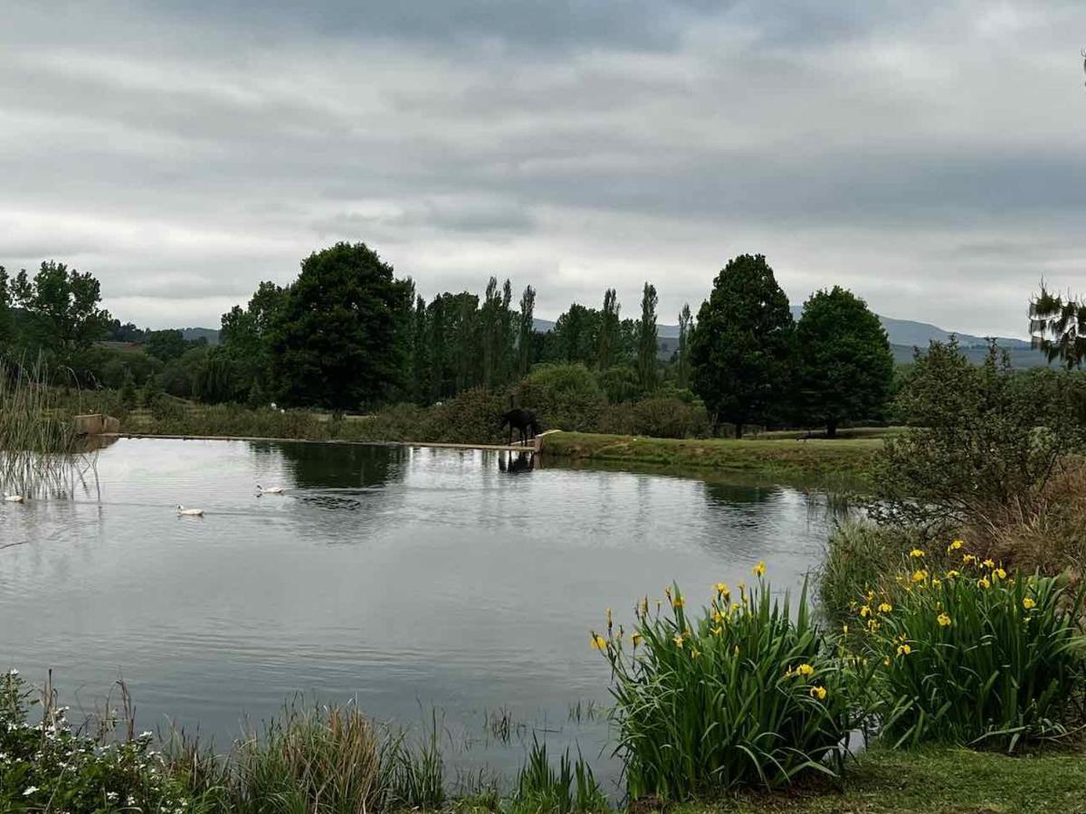 Malachite Manor Underberg Exteriér fotografie