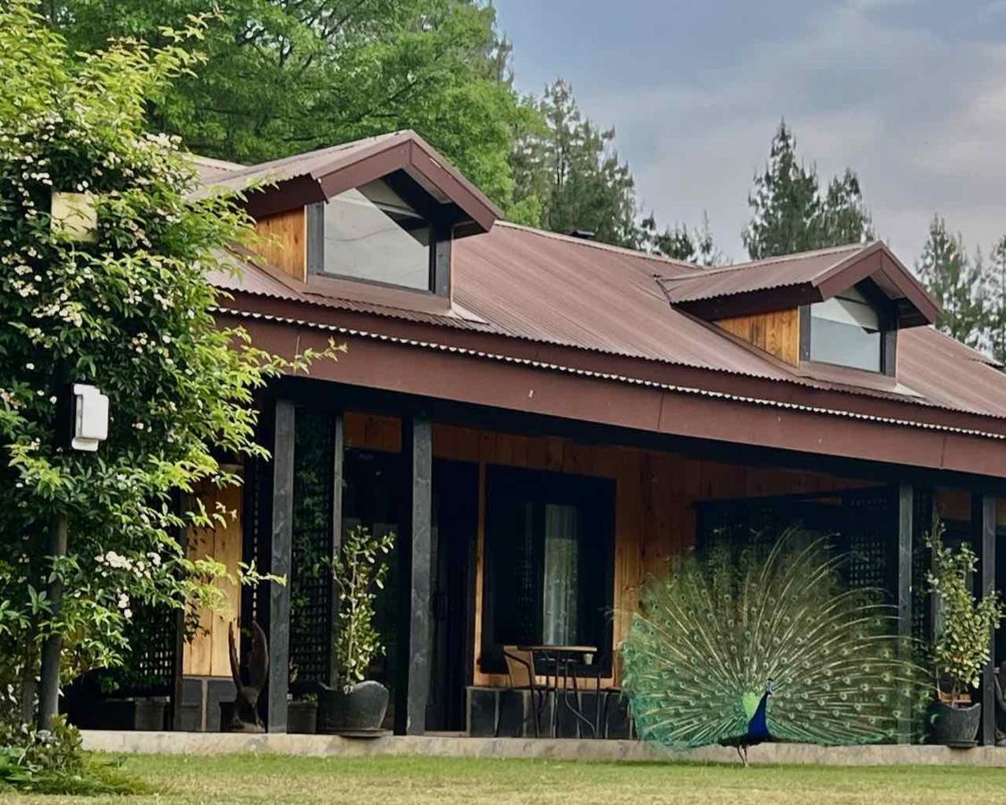 Malachite Manor Underberg Exteriér fotografie