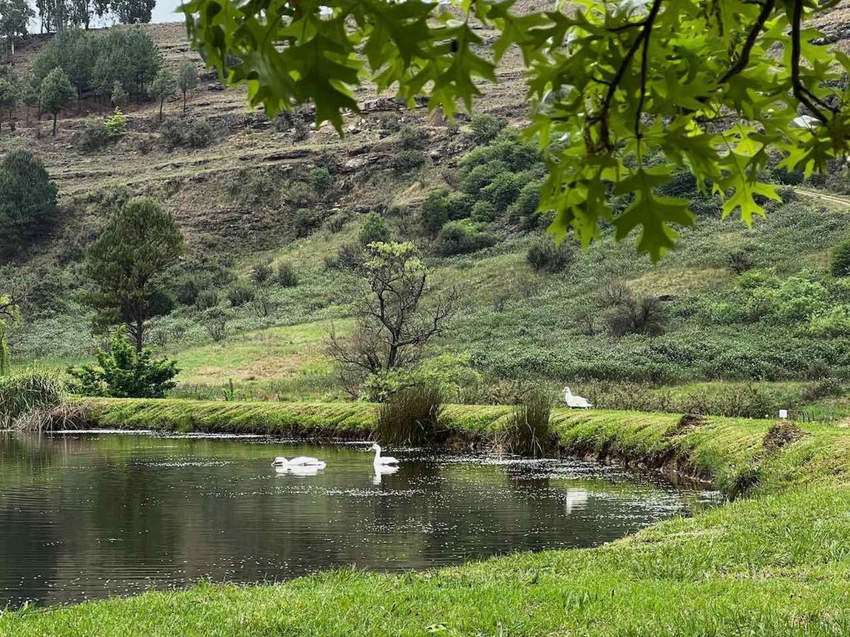 Malachite Manor Underberg Exteriér fotografie